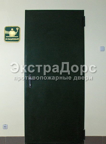 Противопожарная глухая однопольная дверь